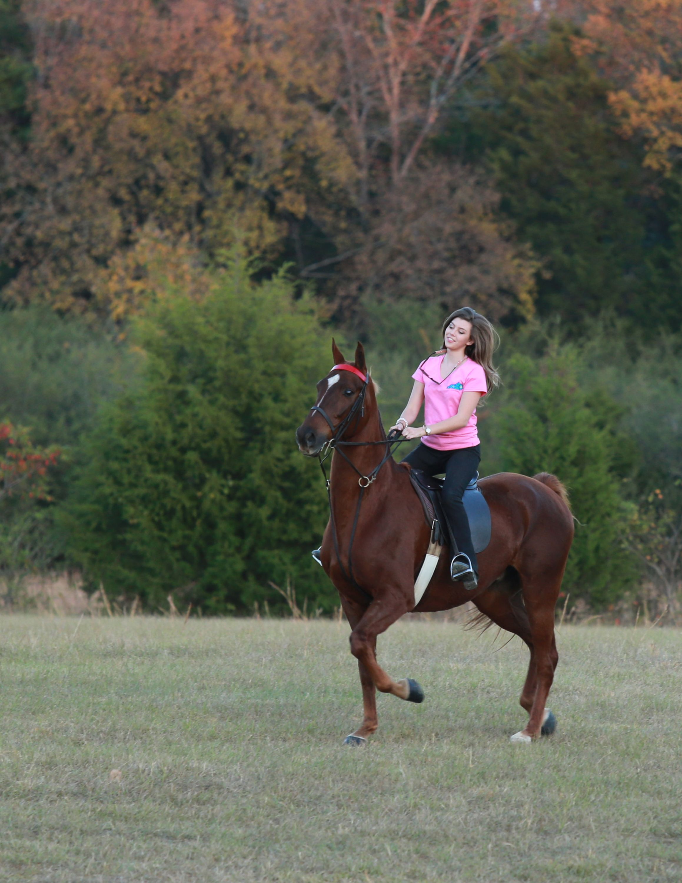 >Future equine vet Sierra Newsome takes her horse on a trail ride