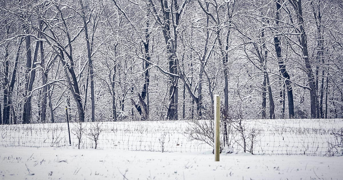 Kentucky Winter Weather Proving to be a Roller Coaster Ride, So Far how cold is kentucky in november