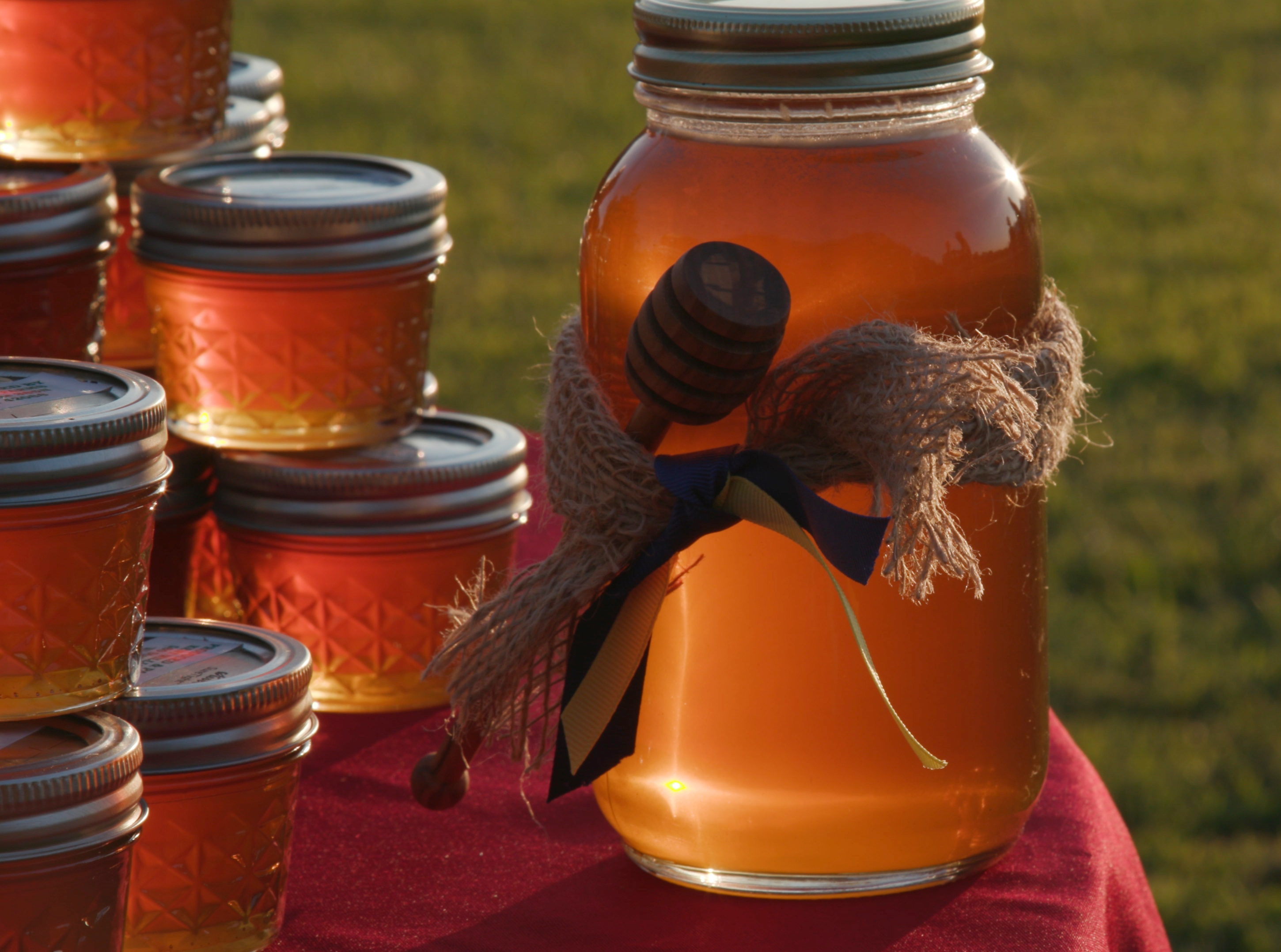Honey Bees: Livestock with Wings - Kentucky Farm Bureau