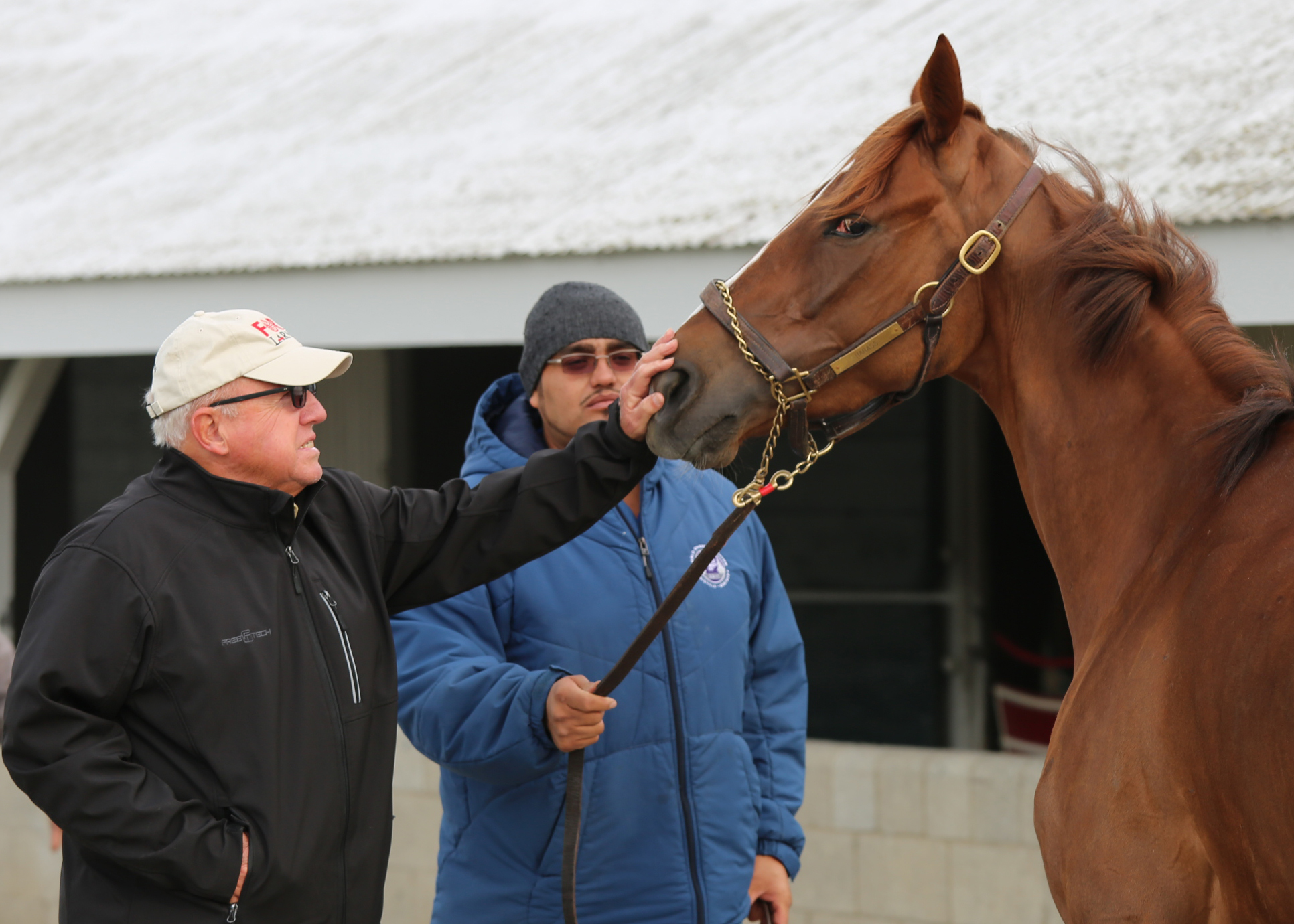 For Frank Penn, Horses and Tobacco have made a Great Combination on the Farm