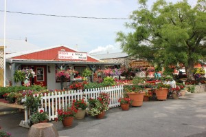 The market center at Reid’s Orchard near Owensboro.