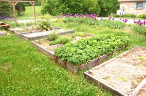 Guests can enjoy fresh vegetables grown on the property.
