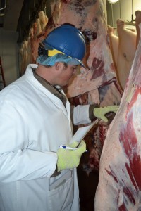 Certified-grader Donovan Pigg inspects a carcass.