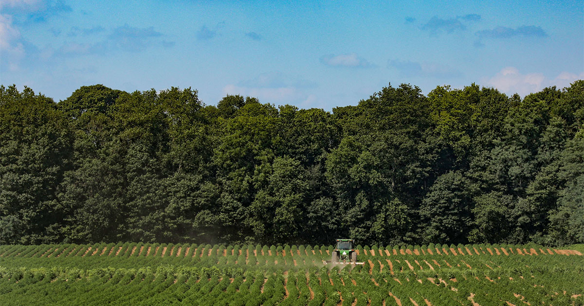 kentucky-farm-bureau-hemp-advisory-committee-and-vision-100-kentucky